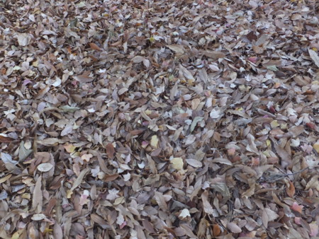 f:id:beatjw:20151220090402j:image