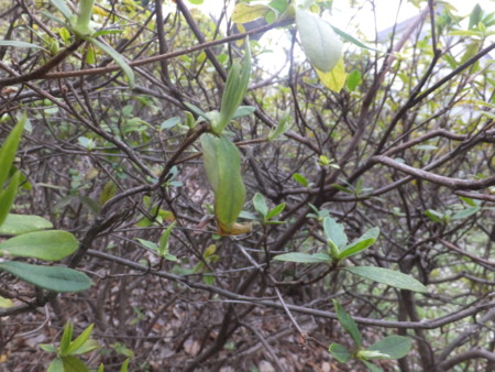 f:id:beatjw:20160313140918j:image