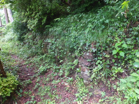 f:id:beatjw:20160625115950j:image