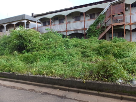 f:id:beatjw:20160904152946j:image