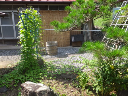 f:id:beatjw:20160917132518j:image