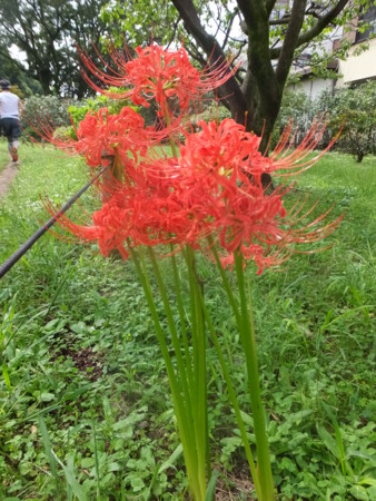 f:id:beatjw:20160925113220j:image