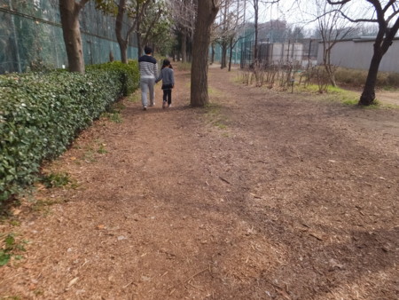 f:id:beatjw:20170305120019j:image