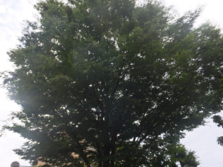 f:id:beatjw:20170702063602j:image
