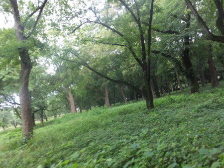 f:id:beatjw:20170702070616j:image