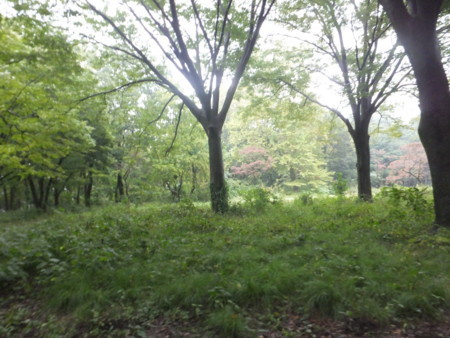 f:id:beatjw:20171014120610j:image