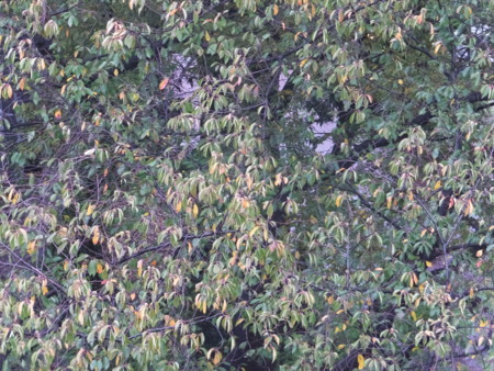 f:id:beatjw:20171021134024j:image