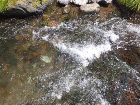 f:id:beatjw:20180505123321j:image