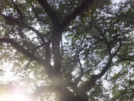 f:id:beatjw:20180703180945j:image