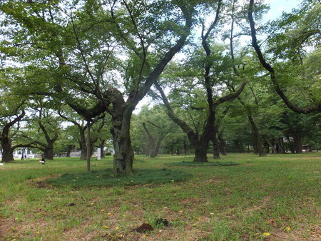 f:id:beatjw:20180901103039j:image