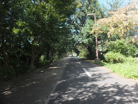 f:id:beatjw:20180909112349j:image