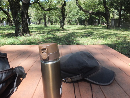 f:id:beatjw:20180909114216j:image