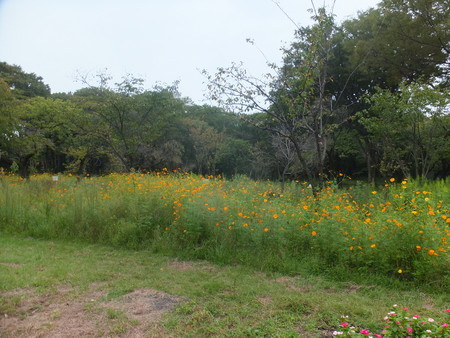 f:id:beatjw:20180929103111j:image