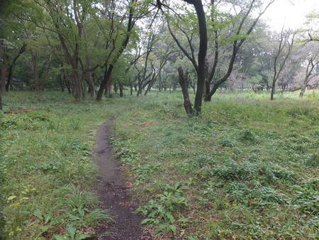 f:id:beatjw:20180929103207j:image