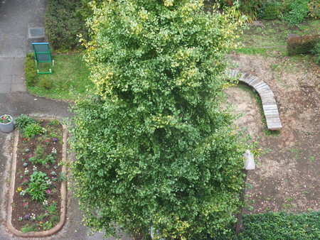 f:id:beatjw:20181113131126j:image