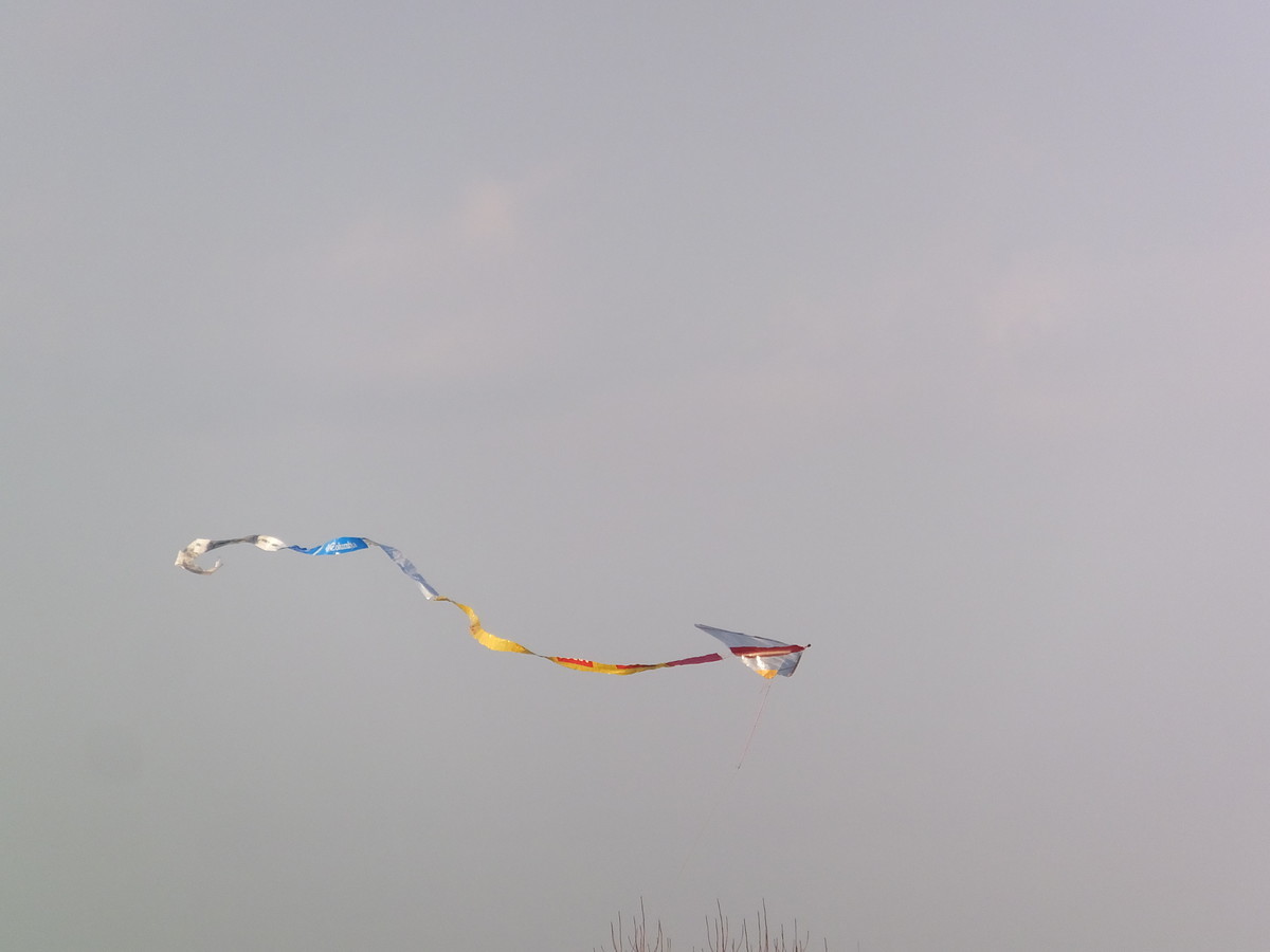 f:id:beatjw:20200113154114j:plain