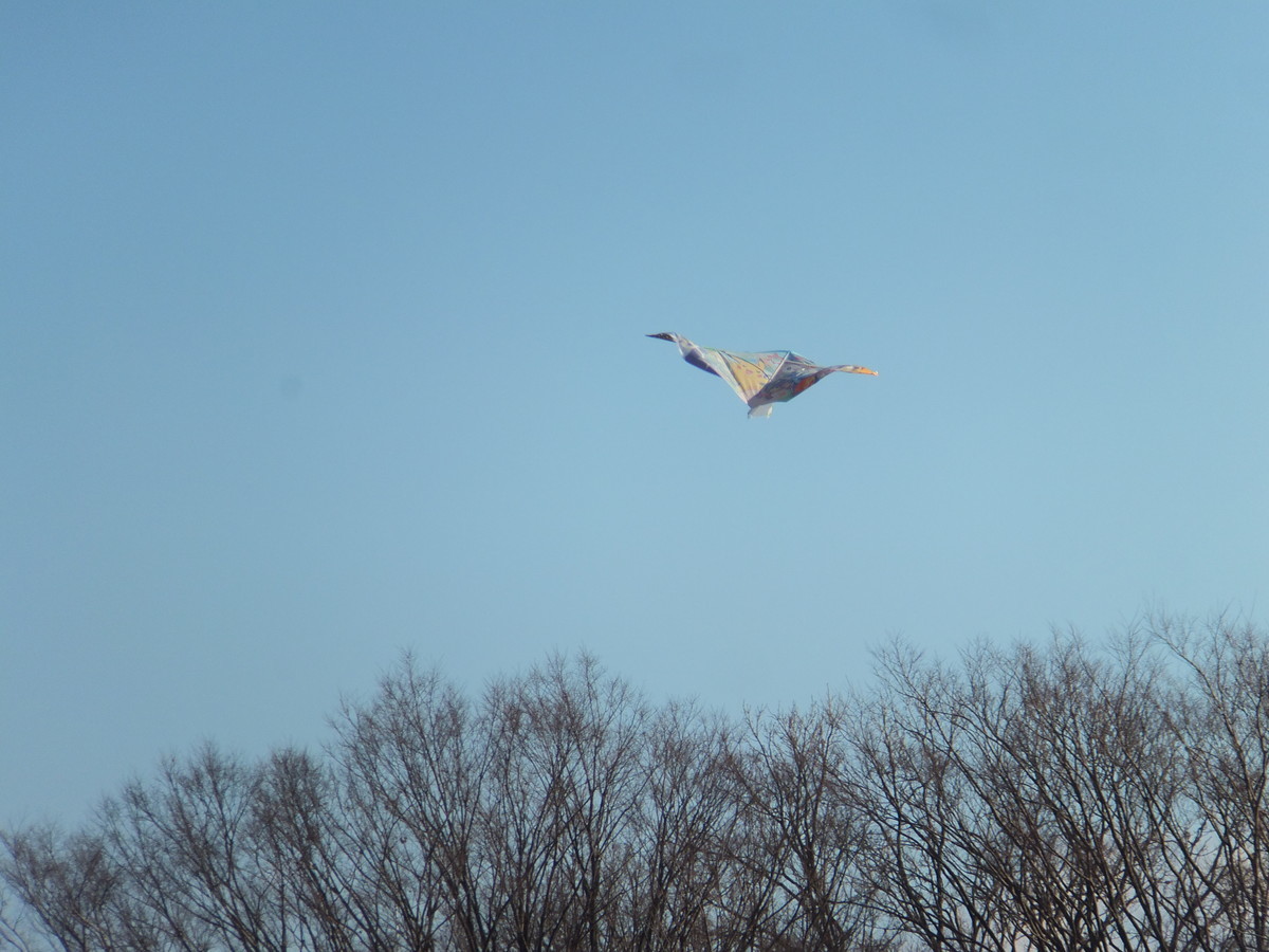 f:id:beatjw:20210101142756j:plain