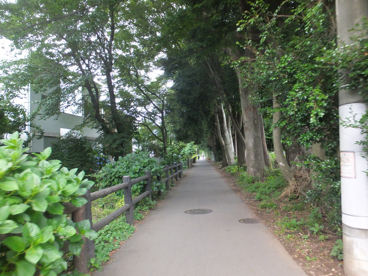 f:id:beatjw:20210627150323j:plain