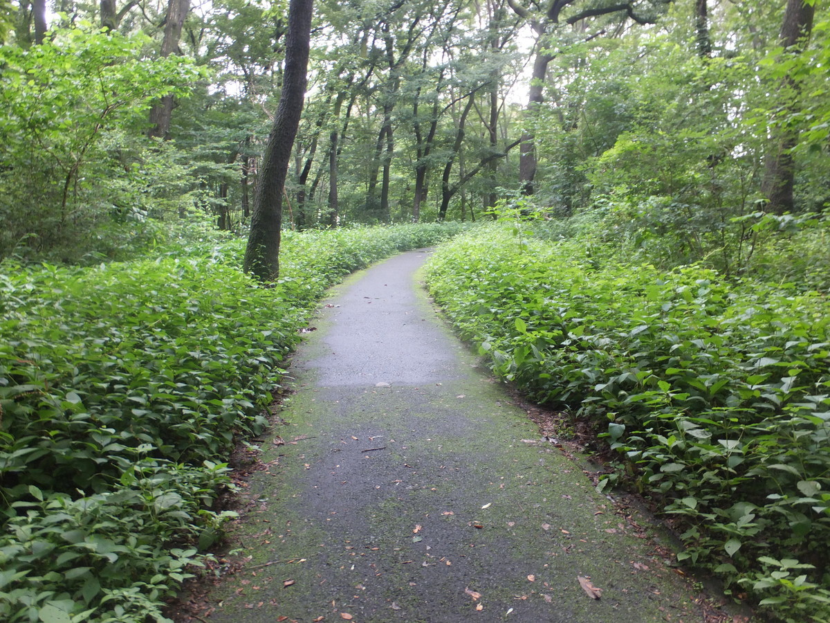 f:id:beatjw:20210703150801j:plain