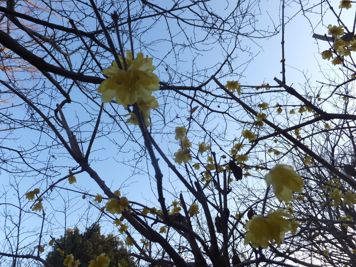 f:id:beatjw:20220129163123j:plain