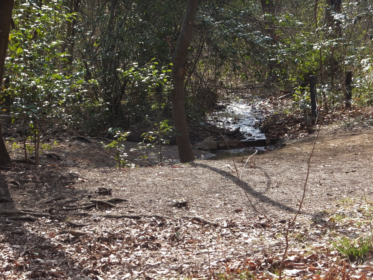 f:id:beatjw:20220309142253j:plain