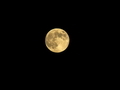 20260417062404