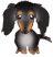 Dax1
