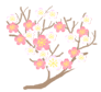 Ume
