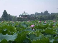 f:id:beatle001:20050814082138j:image