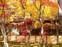 f:id:beatle001:20061210070254j:image