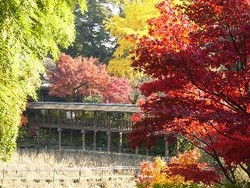 f:id:beatle001:20061210070405j:image