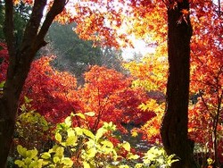 f:id:beatle001:20061210070440j:image