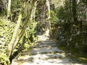 f:id:beatle001:20070325101258j:image