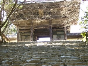 f:id:beatle001:20070325102933j:image