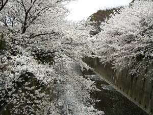 f:id:beatle001:20070402210320j:image