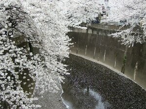 f:id:beatle001:20070402210334j:image