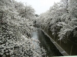 f:id:beatle001:20070402210353j:image