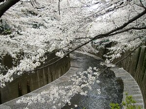 f:id:beatle001:20070402210426j:image