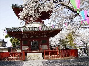 f:id:beatle001:20070409012729j:image f:id:beatle001:20070409012729j:image