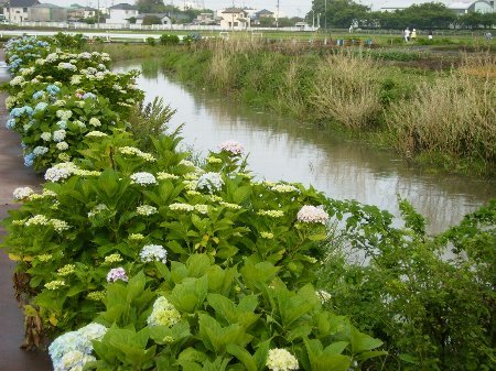 f:id:beatle001:20070614114312j:image