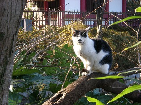 f:id:beatle001:20071224215242j:image