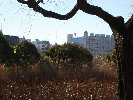 f:id:beatle001:20080118124209j:image f:id:beatle001:20080118124209j:image