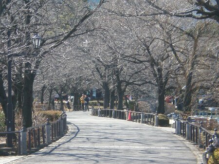 f:id:beatle001:20080118124743j:image f:id:beatle001:20080118124743j:image