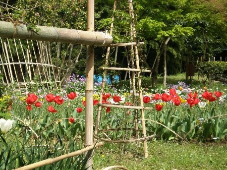 f:id:beatle001:20080509034947j:image