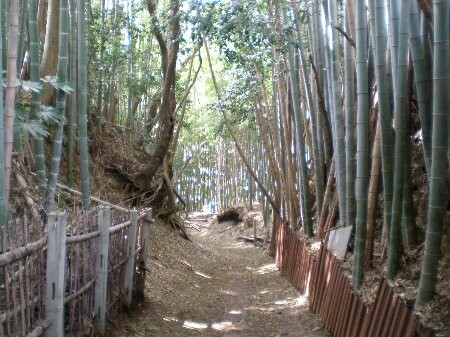 f:id:beatle001:20080509035213j:image