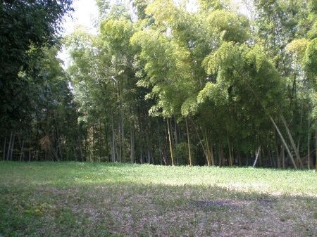 f:id:beatle001:20080509035214j:image