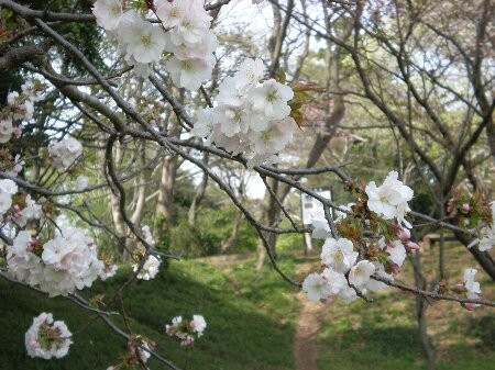 f:id:beatle001:20080509035539j:image