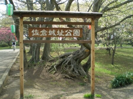f:id:beatle001:20080509035542j:image
