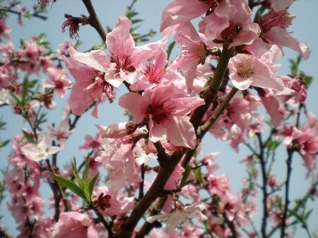 f:id:beatle001:20080509042804j:image