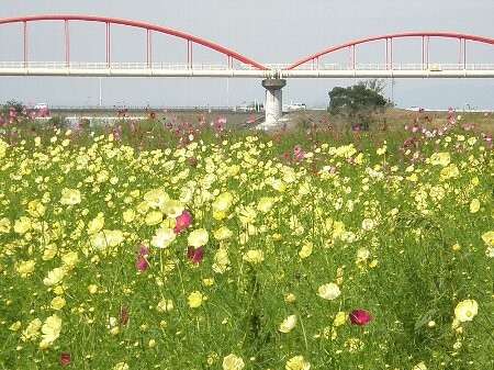 f:id:beatle001:20081013062645j:image f:id:beatle001:20081013062645j:image